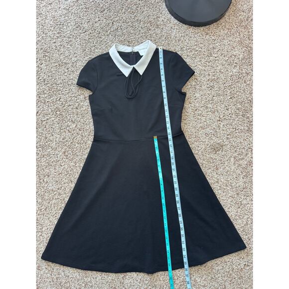 Pappagallo Women's Black midi Dress, size Medium, White Peter Pan collar - Picture 3 of 12